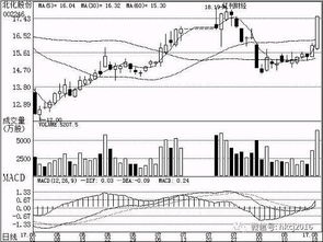 下周機(jī)構(gòu)關(guān)注焦點(diǎn) 軟件開(kāi)發(fā)行業(yè)趨勢(shì)與投資機(jī)會(huì)